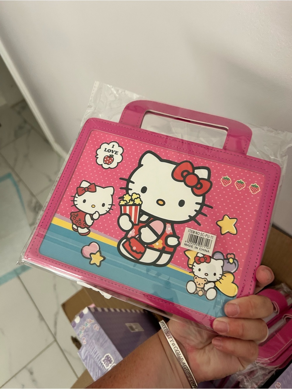 4/$50 Sanrio Hello Kitty Pink and Red Plaid Carry Case - Picture 3 of 3